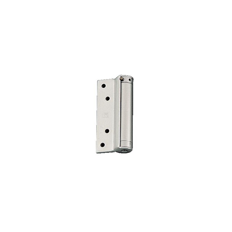 Paire De Petites Charnières à Ressort Pour Portes Battantes Double Action Type Bommer 4000934717551