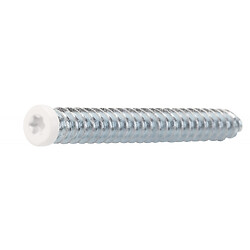 Vis de montage de chassis vitrés tête cylindrique blanche Ar-Mobic II acier zingué, torx, 7,5x42 mm en boîte de 100
