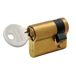 Cylindre simple de sûreté - Profil européen s entrouvrant en Laiton poli - Série 5000