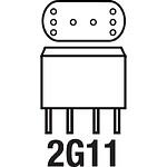 pic_2g11