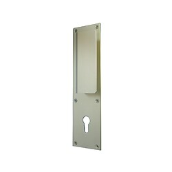 Poignée de porte palière sur plaque en aluminium finition champagne clé I