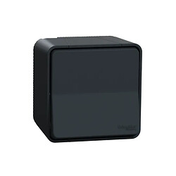 Va et vient gris anthracite saillie Mureva Styl IP55 IK08