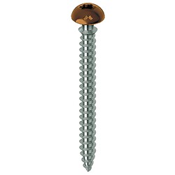Vis tête large pour menuiserie PVC et aluminium acier chromiting laqué marron ent filetées Framex Clip, Ø 6 mm, L 70 mm, 100 pi