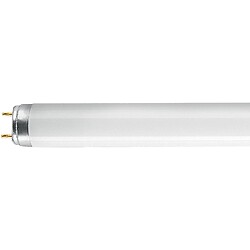 Tube fluorescent 26 mm Lumilux T8 G13