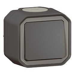 Poussoir NO complet saillie 10 A étanche Plexo anthracite