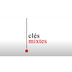 Clé Mixte 19