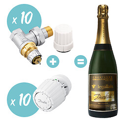 Lot promo 10 têtes + 10 corps + 1 bouteille de champagne