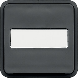 Poussoir à fermeture 1F avec porte-étiquette 1F associable gris IP55 Cubyko