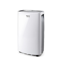 Déshumidificateur Pleasant Unique DH2201