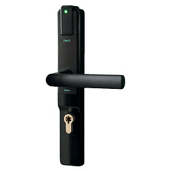 Garniture électronique autonome Iwa pour cylindre européen sans badge finition gris