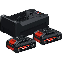 Pack 2 batteries Expert 18V 4.0Ah + 1 chargeur GAL 12V/18V-80