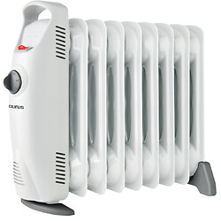 Radiateur mobile à bain d'huile Masai 1000W