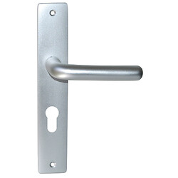 Béquilles doubles sur grande plaque Léo en aluminium perlé bec-de-cane