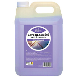 Lave glace démoustiqueur, bidon de 5 litres 