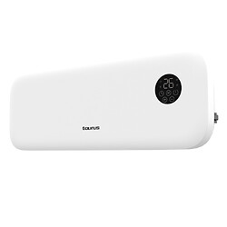 Chauffage mural RCMB 22, 2000 W, 3 modes, IP22