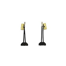 Charbon pour ponceuse ETS150/3 et ETS 150/5 jeu de 2