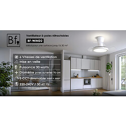 VENTILATEUR PLAFOND WIND2
