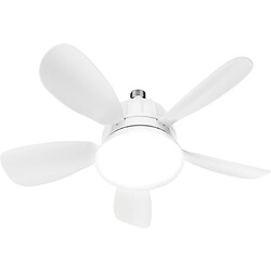 Ventilateur plafond Wind1