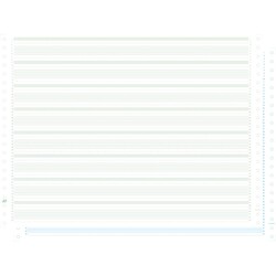 Feuille de listing autocopiant zoné 2 plis vert/bleu - 380x11" - Bandes Caroll Non Détachables - Paquet de 1000 - Vert