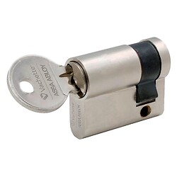 Cylindre simple de sûreté - Profil européen varié en Laiton nickelé - Série 5001
