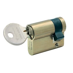 Cylindre simple de sûreté - Profil européen varié en Laiton poli - Série 5000